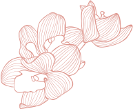 Flor assets